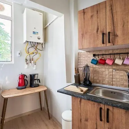 Cihangir'de Luks Mobilyali Tatli Konfor Sinema Tarzi Salon アパート *
